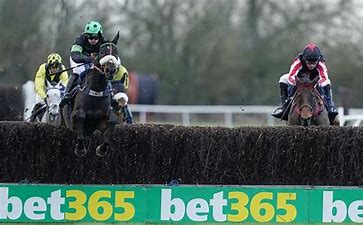 First Flow wins the Peterborough (Photo: Timeform.com)